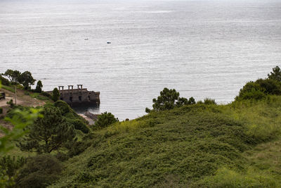 High angle view of plants by sea