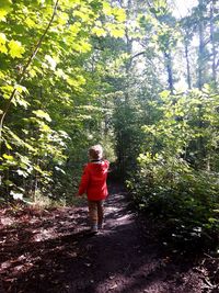 Rear view of man walking in forest