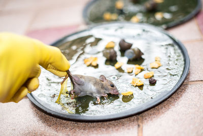 Close-up of hand eating food