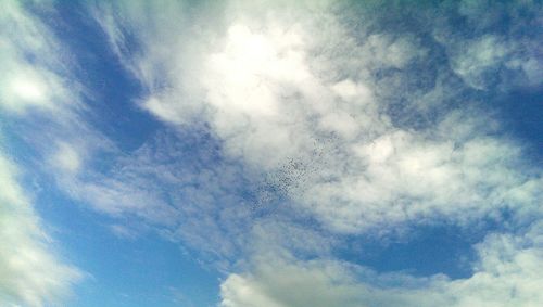 Low angle view of bird flying against cloudy sky