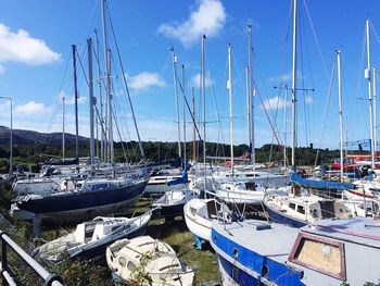 Sailboats moored in harbor