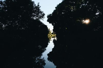 Low angle view of silhouette trees against clear sky at night