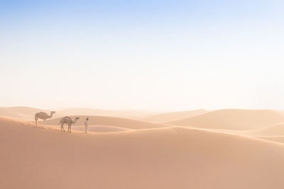 Scenic view of desert against clear sky