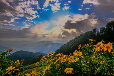 Scenic view of mountains against sky