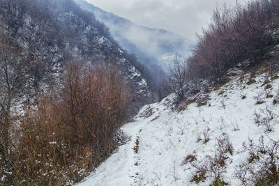 Scenic view of mountains during winter