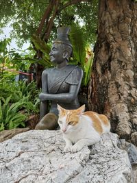 Cat sitting by statue against trees