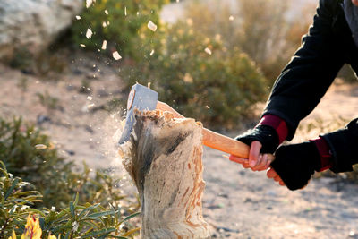 Person swinging axe into wood stump