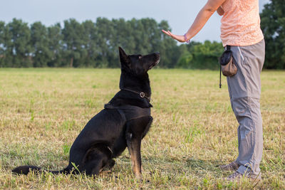 Woman playing with dog on field