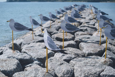 Works at ohura beach, sakushima, an island of healing and art in aichi prefecture.