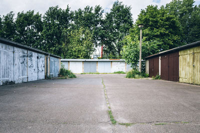 Empty road along trees