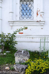 Flower pots on building