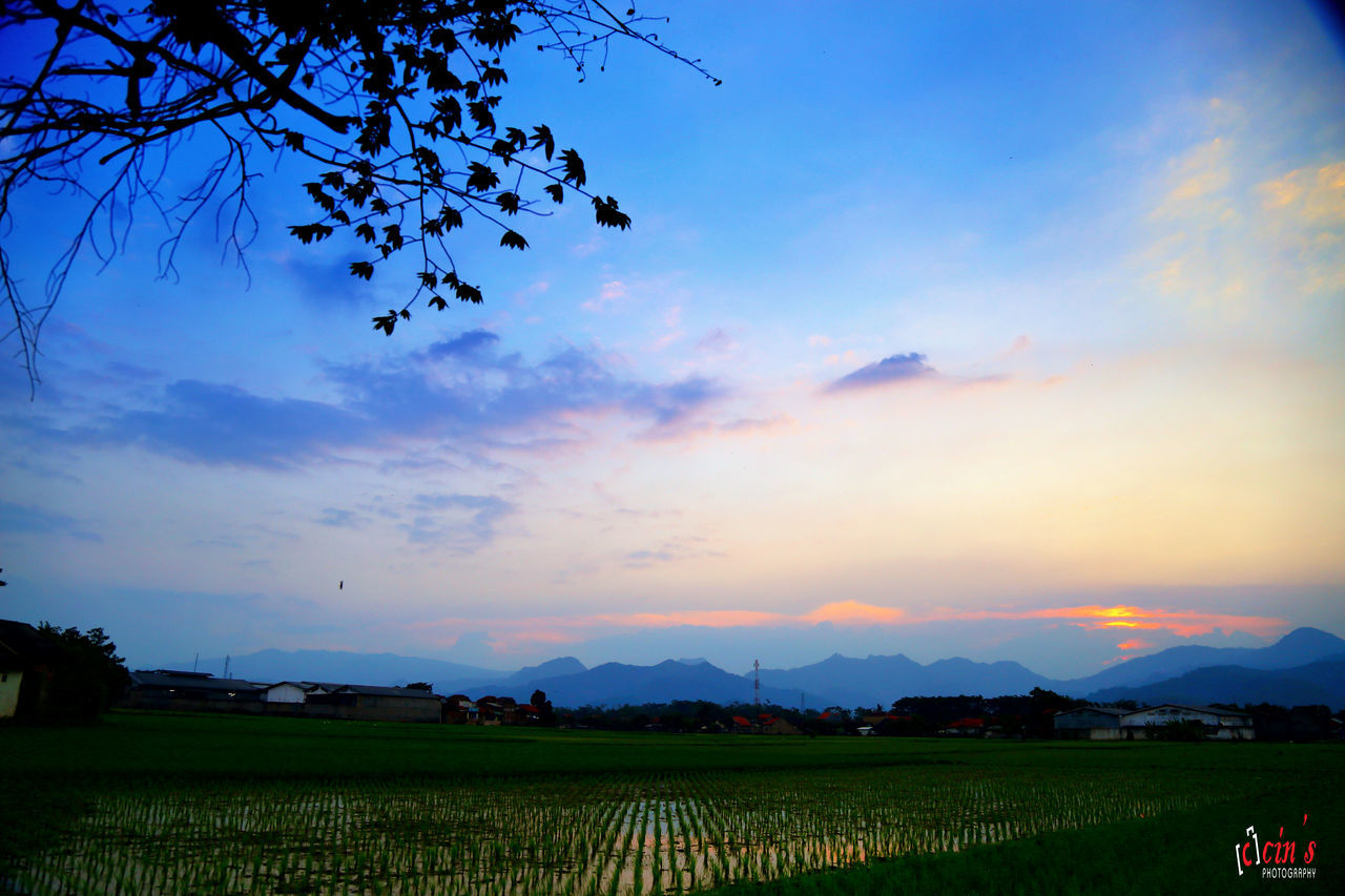 sky, landscape, tranquil scene, scenics, beauty in nature, tranquility, sunset, field, nature, rural scene, cloud - sky, agriculture, mountain, cloud, tree, idyllic, growth, farm, no people, outdoors