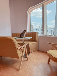 Empty chairs on table at home