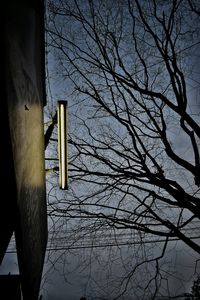 Low angle view of bare trees