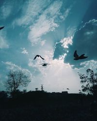 Low angle view of bird flying in sky