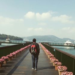 Rear view of man walking on pier against sky