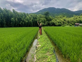 Full length of woman standing on plants in farm