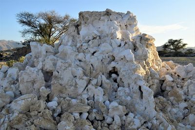 Rock formation on tree against sky