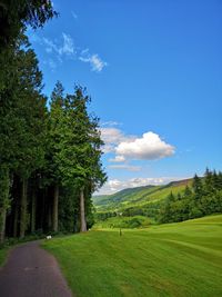 Scenic view of trees on field against sky