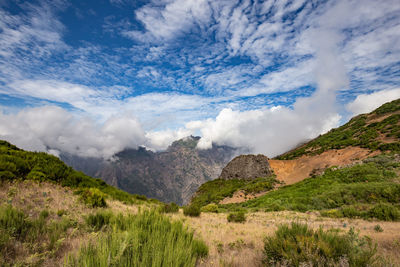 Scenic view of landscape against sky