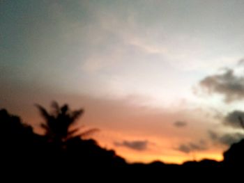 Close-up of silhouette trees against sky at sunset