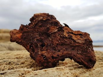 Close-up of wooden shape on land against sky