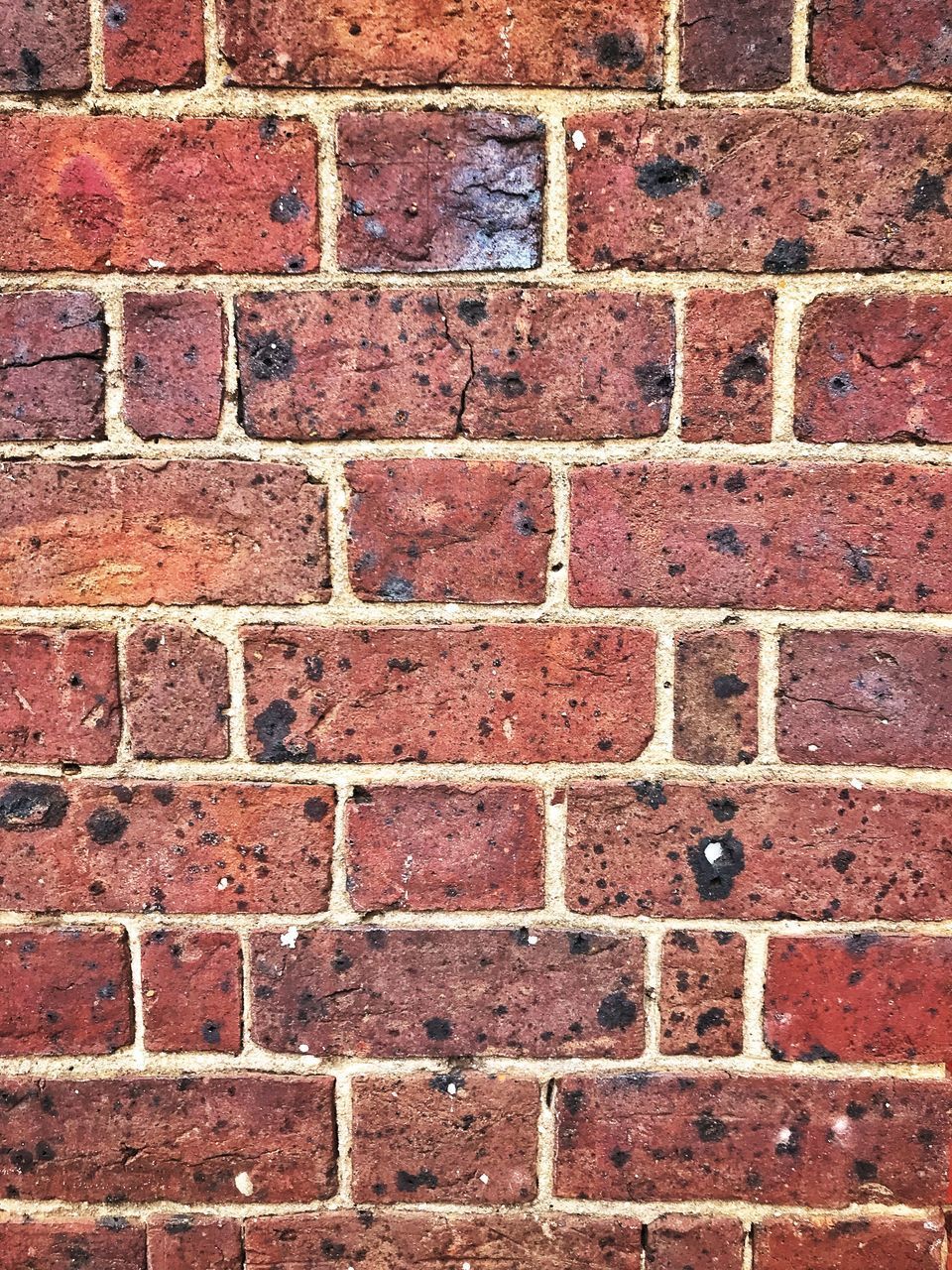 DETAIL SHOT OF BRICK WALL