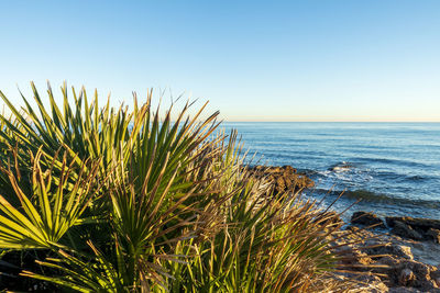 Scenic view of sea against clear sky