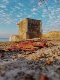 Surface level of beach against sky