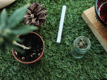 High angle view of potted plants on field