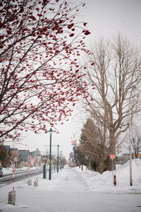 View of snow covered road against sky