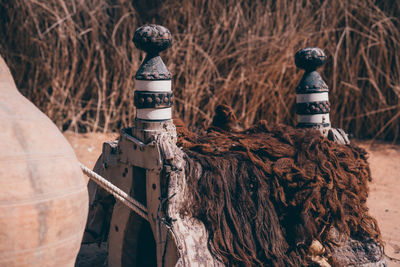 Close-up of carving on tree trunk