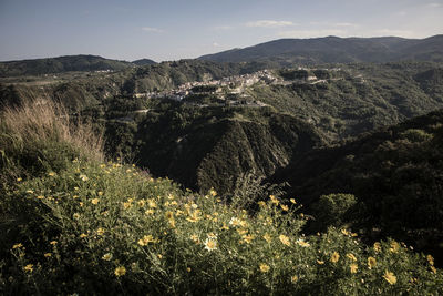 High angle view of plants and land against sky