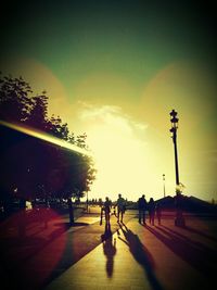 Sun shining through trees