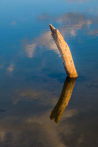 High angle view of wood in lake
