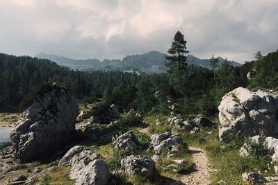 Scenic view of landscape against sky