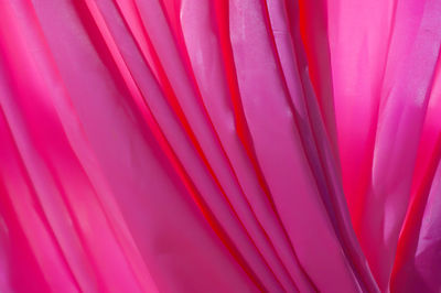 Full frame shot of pink red flower