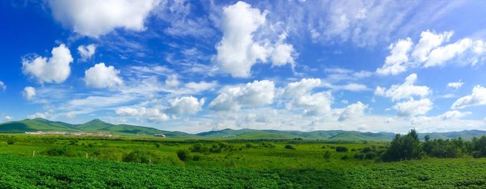 Panoramic view of agricultural field against sky