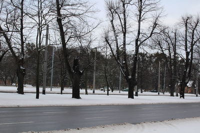 Trees against sky during winter