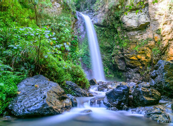 Scenic view of waterfall in forest