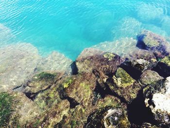 Rock formations in sea