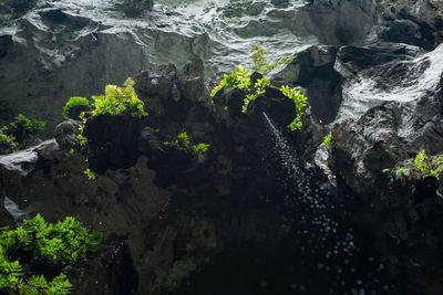 High angle view of rocks by sea