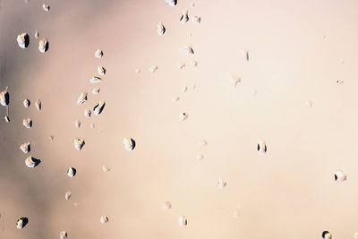 Full frame shot of wet glass window