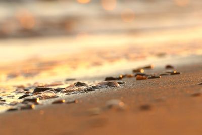 Surface level of sand on beach