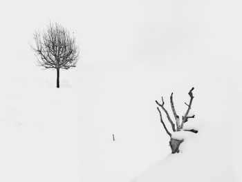 Bare tree on snow covered field against clear sky