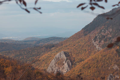 Warm sun illuminates the orange-red forest and high rocks. mojtin, strazov mountains, slovakia