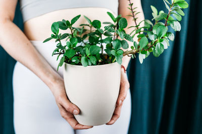 Midsection of woman holding potted plant