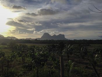 Scenic view of field against sky