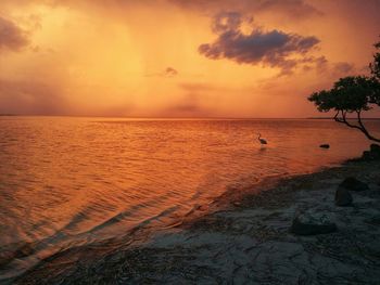 Scenic view of sea against orange sky during sunset