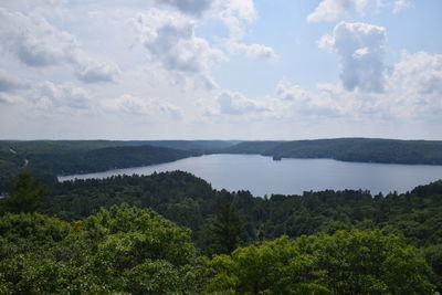 Scenic view of forest against sky